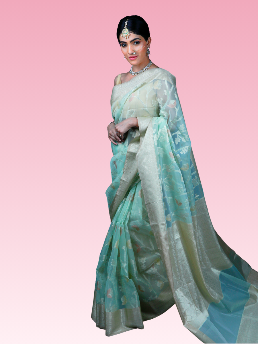 Pastel Pista Organza Saree
