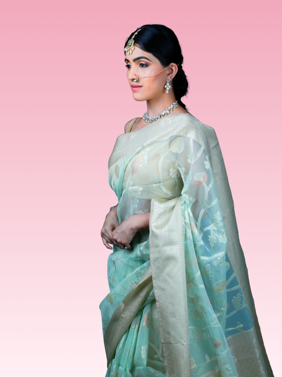 Pastel Pista Organza Saree - Image 2