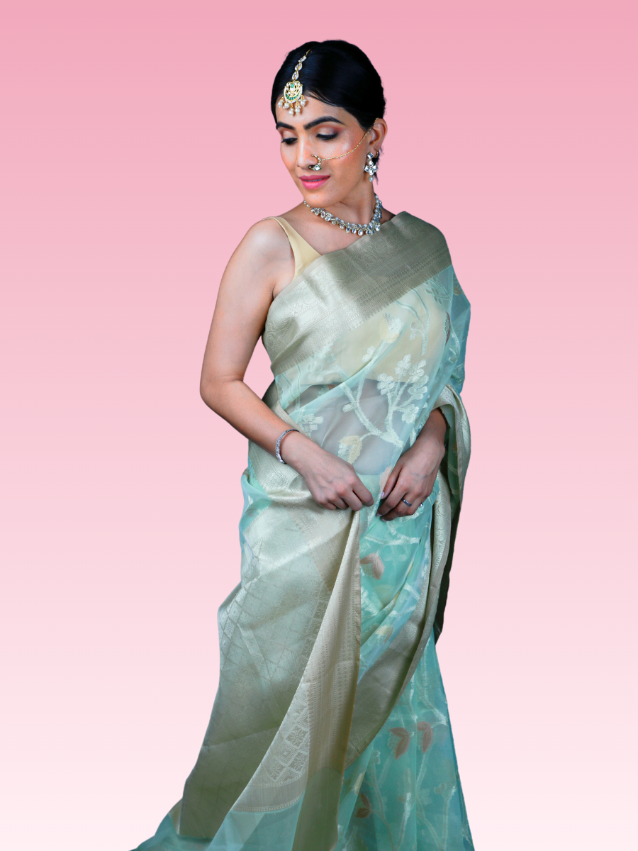 Pastel Pista Organza Saree - Image 3