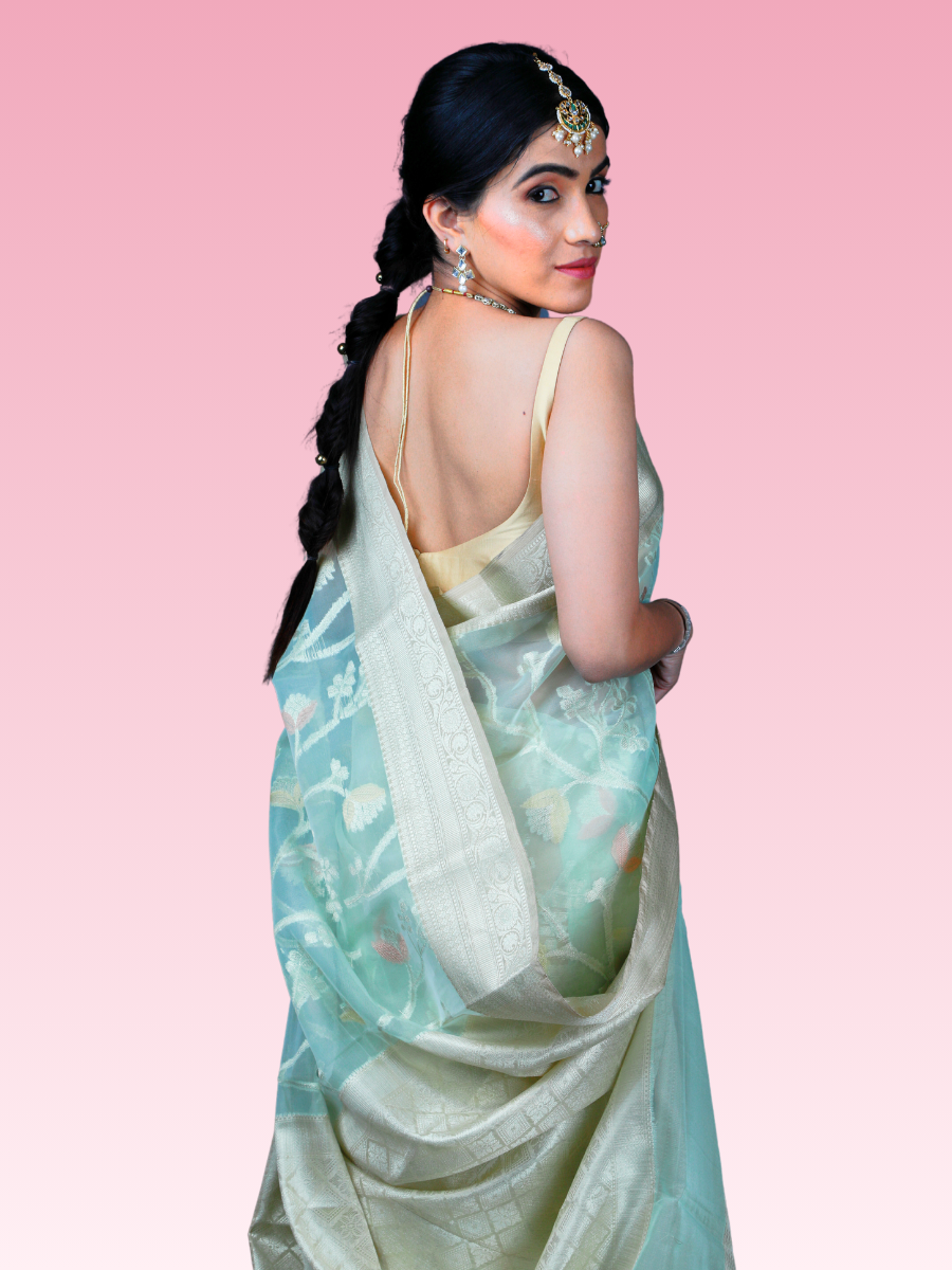 Pastel Pista Organza Saree - Image 5